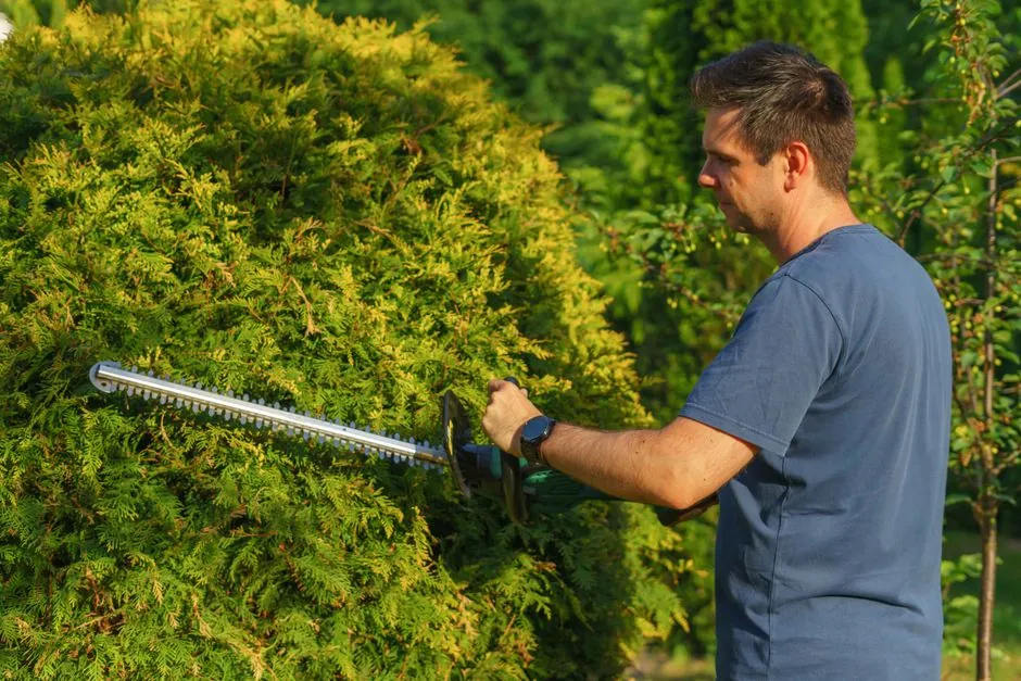 Jardinier au travail dans un jardin de Brest