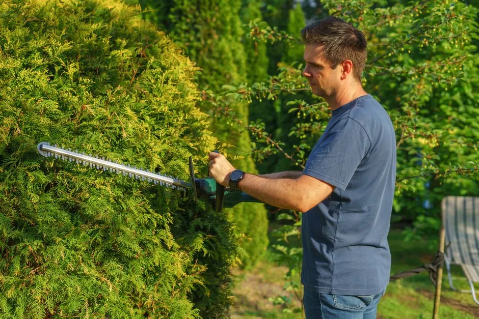 Pelouse fraichement tondue dans un jardin a Brest